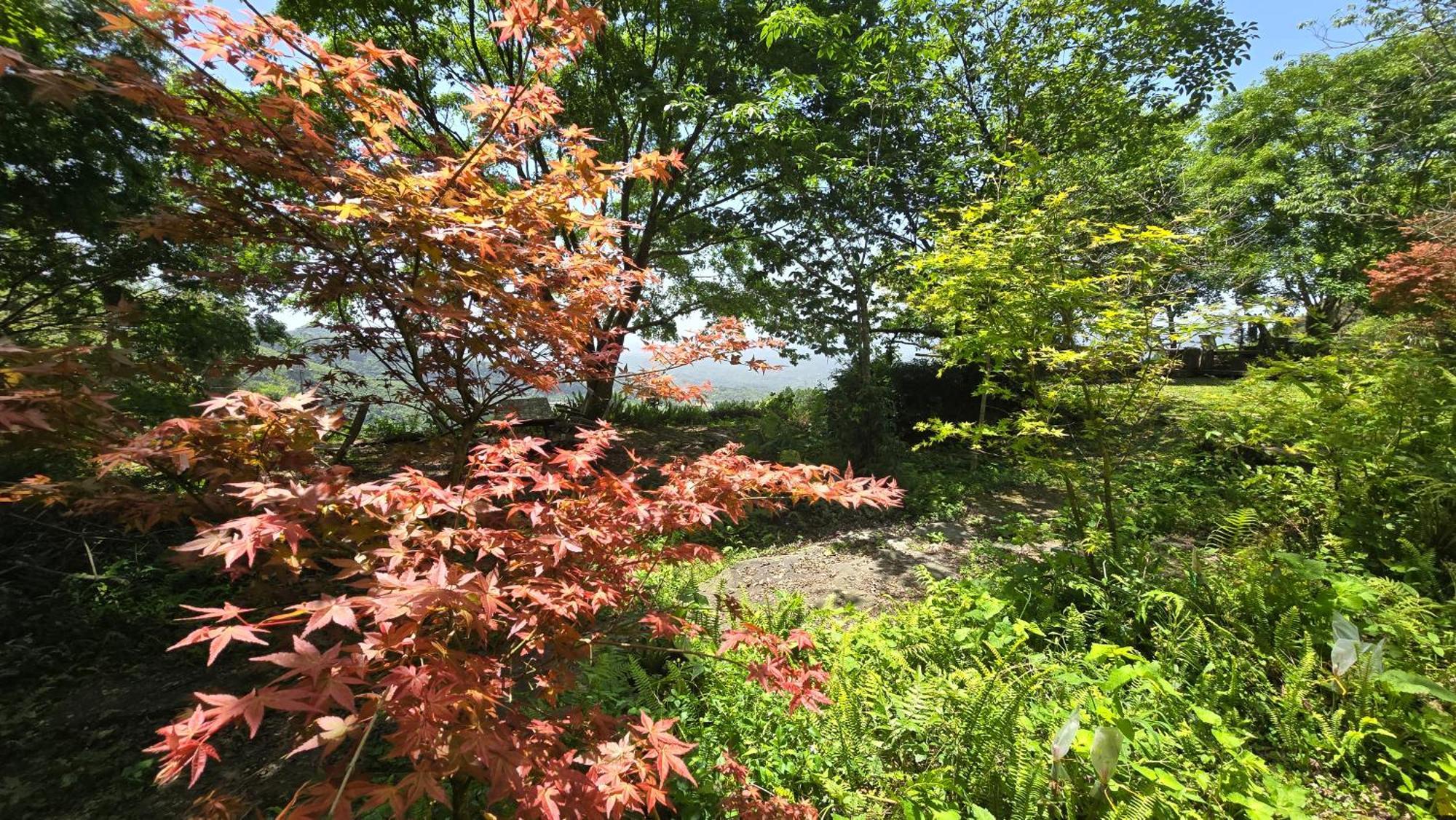 Maple Map B&B Dahu Luaran gambar